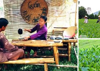 Quán nước chè xanh Phú Thọ