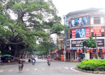 Cây đa lịch sử thị xã Phú Thọ