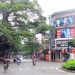 Cây đa lịch sử thị xã Phú Thọ