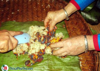 Xôi cọ bùi ngậy thơm ngon