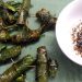 Chả cuốn lá bưởi