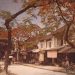 Ký ức những năm 1960
