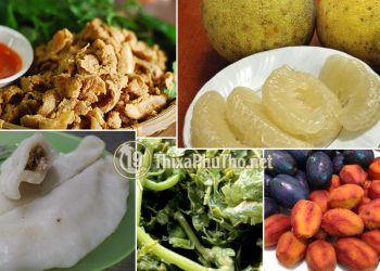 Đặc sản Phú Thọ làm quà cho bạn bè 4 phương