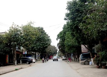 Đường Trường Chinh, phường Âu Cơ, thị xã Phú Thọ