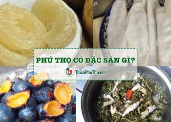 Phú Thọ có đặc sản gì mà khiến ai cũng muốn ghé thăm lần nữa