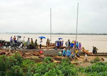 Người dân Phú Thọ ra sông Hồng vớt gỗ giữa dòng nước lũ