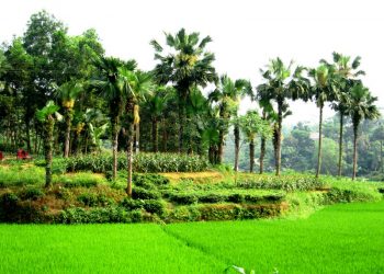 Hãy giữ lấy một nét “hồn quê” đất Tổ!