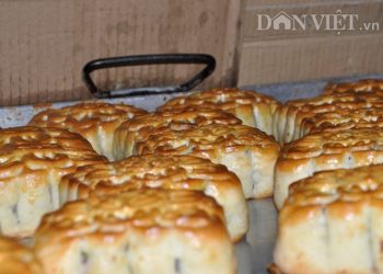 Bánh trung thu Tạ Quyết – Nức lòng vị ẩm thực truyền thống Phú Thọ