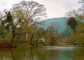 Bản Ú, Tân Sơn, Phú Thọ