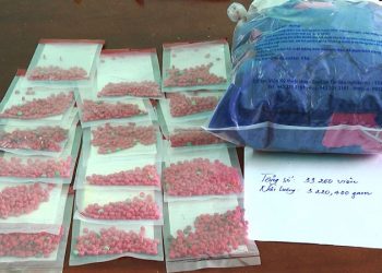 Liên tiếp bắt các đối tượng tàng trữ, sử dụng ma túy tại thị xã Phú Thọ