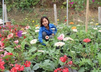 Những bông hoa 9X khởi nghiệp trên đất tổ