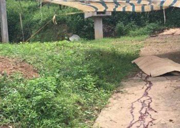 Thân thế bất hảo của đối tượng dùng cuốc đánh hàng xóm tử vong ở Phú Thọ