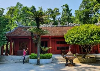 Cây vạn tuế 800 năm tuổi ở đền Hùng