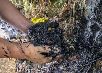 Gốm sứ Thanh Hà, thị xã Phú Thọ lên tiếng về sự cố xả dầu thải sông Đà