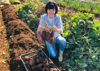 Nàng dâu Phú Thọ được ghi danh “Người Việt Nam chăm chỉ” trên báo Nhật