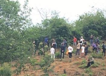 Phú Thọ: Một cô giáo tử vong nghi do uống thuốc sâu