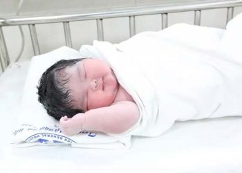 Bé gái sơ sinh nặng kỷ lục 6kg vừa chào đời ở Phú Thọ