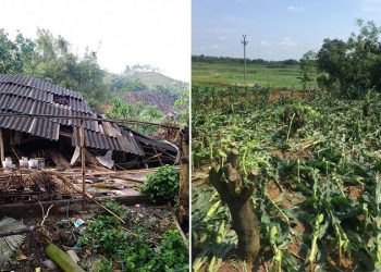 Mưa lớn kèm dông lốc ở Phú Thọ khiến hơn 1.000 ngôi nhà hư hại, hàng trăm ha lúa bị ngập úng