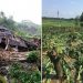 Mưa lớn kèm dông lốc ở Phú Thọ khiến hơn 1.000 ngôi nhà hư hại, hàng trăm ha lúa bị ngập úng