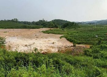 Cẩm Khê: Vỡ đập thủy lợi, di dời khẩn cấp 17 hộ dân