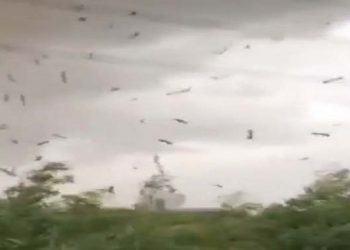 Lốc xoáy kinh hoàng tại Vĩnh Phúc khiến 3 người thiệt mạng, 21 người bị thương