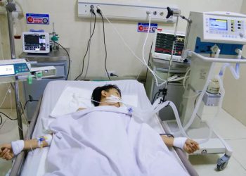 Phú Thọ: Cấp cứu kịp thời học sinh bị rắn độc cắn dẫn đến liệt cơ hô hấp