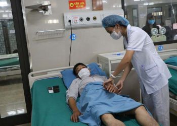 Bị kiến xoan đốt khi làm vườn, người đàn ông ở Đoan Hùng sốc phản vệ nặng