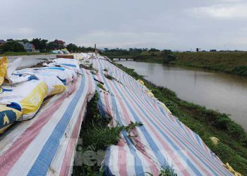 Cận cảnh đường đê còn bảo hành đã sụt trượt nghiêm trọng ở Phú Thọ
