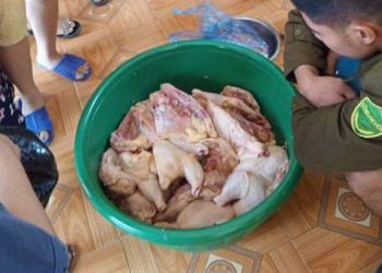 Phụ huynh tố thịt gà ôi thiu đưa vào trường mầm non Hương Xạ, huyện Hạ Hòa, Phú Thọ