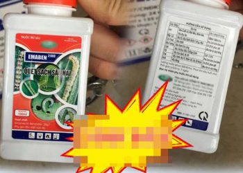 Bé trai 2 tuổi ở Phú Thọ uống nhầm thuốc trừ sâu phải nhập viện cấp cứu