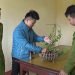 Công an Phú Thọ bắt nhóm đối tượng dán keo 502 để “hô biến” phong lan thường thành đột biến lừa cả tỷ đồng