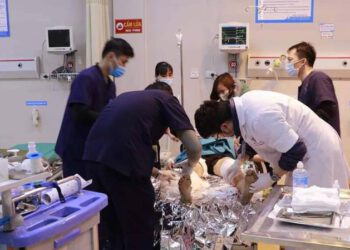 Phú Thọ: Chó Pitbull 40kg “nổi điên” tấn công nữ công nhân nát tay chân