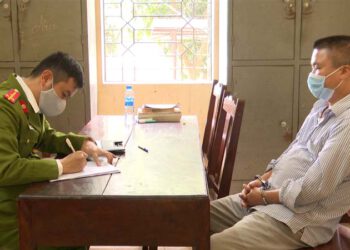 Công an Phú Thọ bắt khẩn cấp các đối tượng trộm trâu mang ra đồng xả thịt