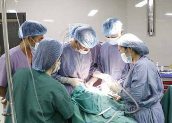 Phú Thọ: Bé trai 4 tuổi bị chó cắn rách vùng đầu, mặt