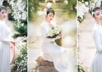 9X Phú Thọ đẹp tinh khôi bên hoa cúc hoạ mi