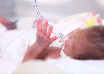 Cứu sống bé sơ sinh cực non ở Phú Thọ chỉ nặng chưa đầy nửa cân