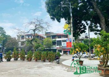 Thị xã Phú Thọ chuẩn bị đón Tết Nguyên đán Nhâm Dần năm 2022