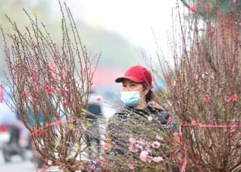 Dự báo thời tiết Tết Nguyên đán Nhâm dần 2022