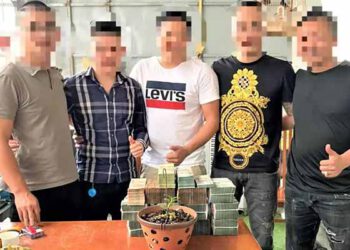 Sau cơn sốt lan đột biến, người mất tiền tỷ, kẻ... "mất hút"