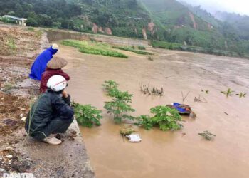 Nước lũ lớn tràn về thượng nguồn sông Hồng nhấn chìm nhiều hoa màu