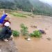 Nước lũ lớn tràn về thượng nguồn sông Hồng nhấn chìm nhiều hoa màu