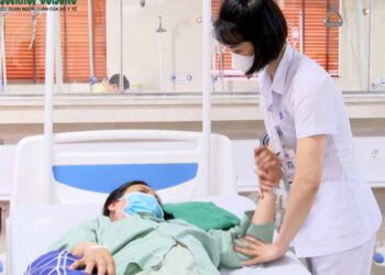 Người phụ nữ ở thị xã Phú Thọ đột quỵ, liệt nửa người do bị ong đốt